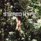 stereo_hype