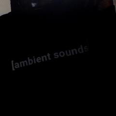 [ambient sounds]