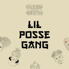 lil posse gang