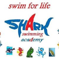 Hossam Shark