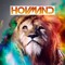 Daniel Hovmand