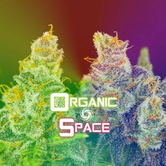 Organic Space