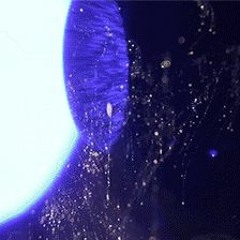 dig