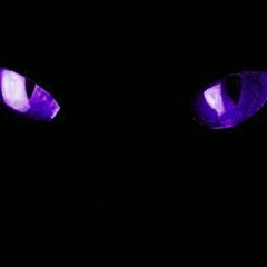 lechatnoir