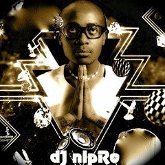 dJ nIpRo