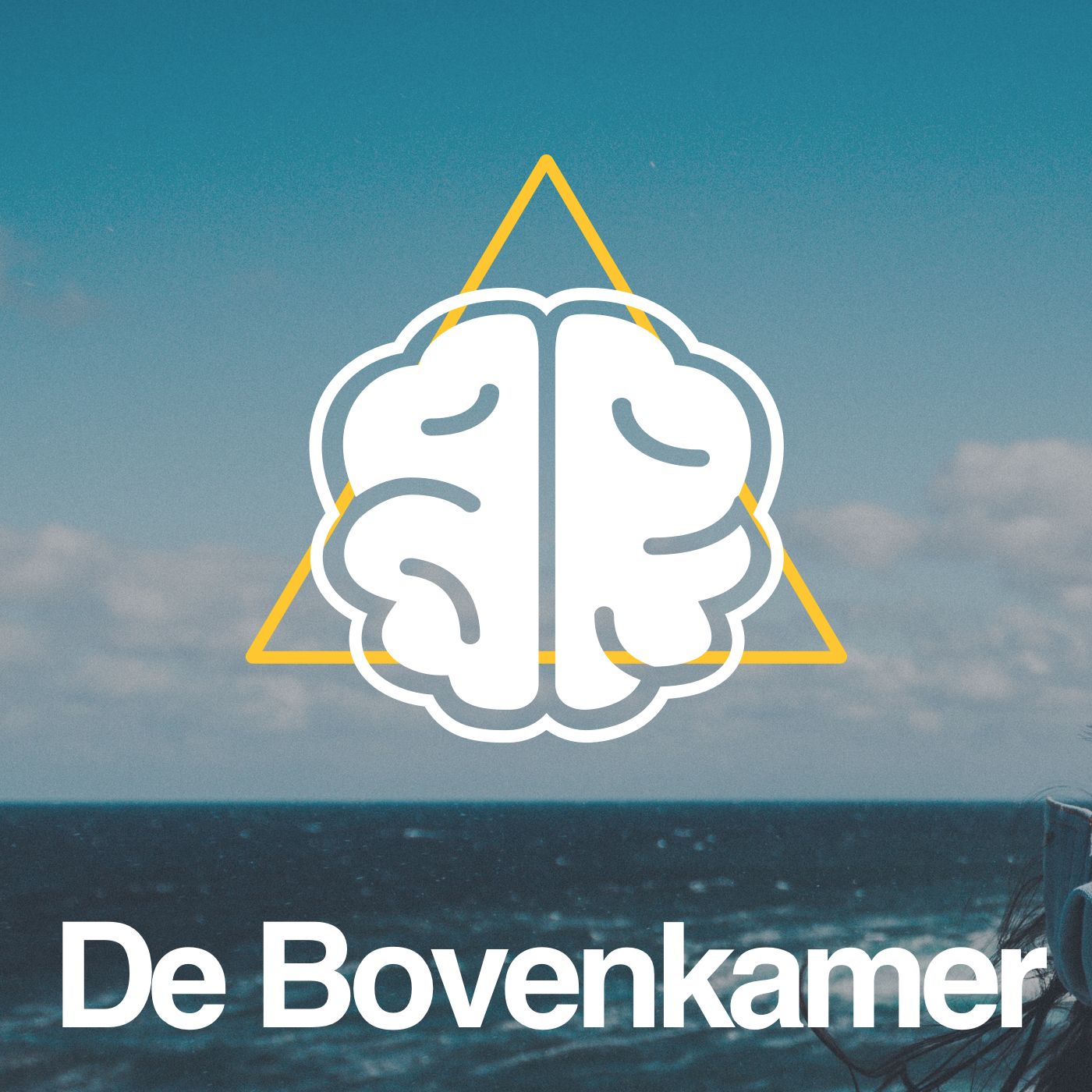 De Bovenkamer Podcast