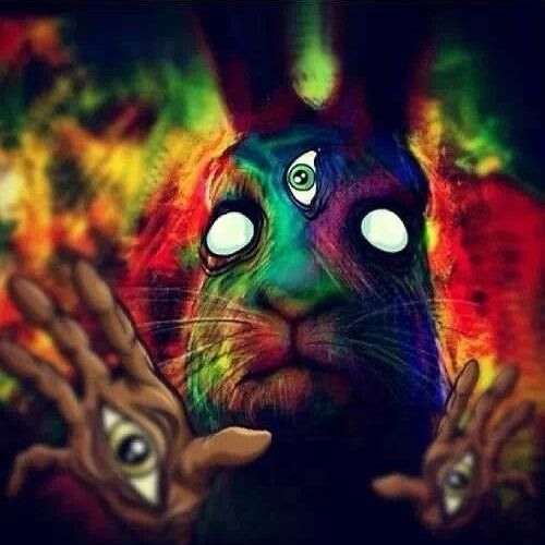 Fellow Techno Rabbit’s avatar