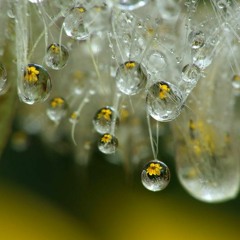 Enaly Pachano Barazarte