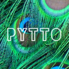 Pytto
