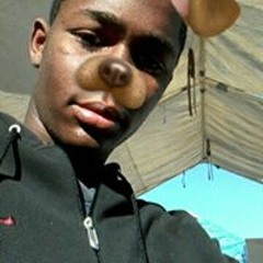 Monkey_101