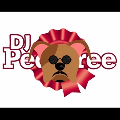 DJ Pedigree