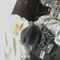 Rapace NKS