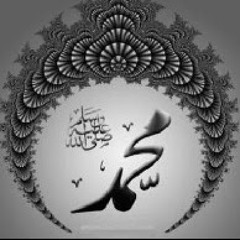 محمد ابو الحسن