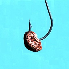 Bluenortus