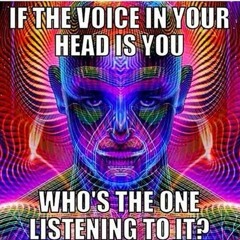 Raw monkey {MONKEY TEMPO} future of rawstyle 2017