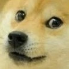 User 50005008