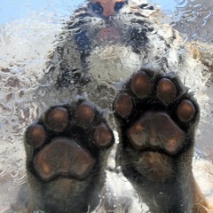 Hardstyle popular songs