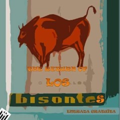 LosBisontesR.B.