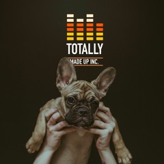 Totally Made Up INC.