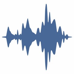 Gavan Bruderer - Audio Branding & Production