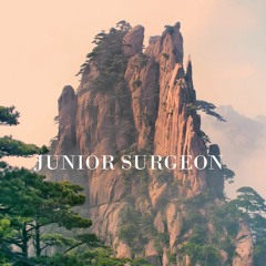 Junior Surgeon