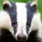 Zack Badger