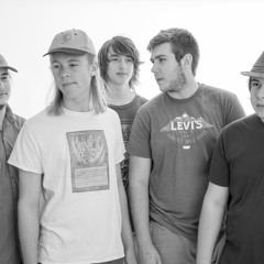 Parking Lot Seagulls