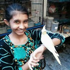 Yusra Aslam Sodagar
