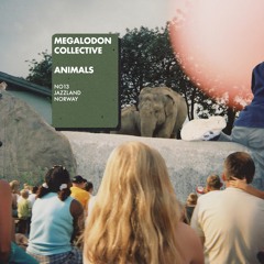 Megalodon Collective