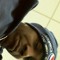 User 518401991