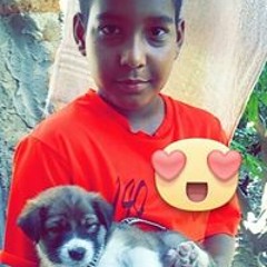 Francisco Junior