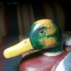 102.5 The Duck