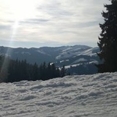 Goembi