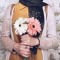 Safa Ziad