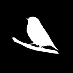 Aves OOI Brasil