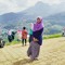 Fidian Dini Arinda