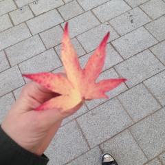 Moonweather (Tom Beales cover)