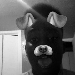 a1 lilboat