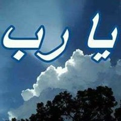Bahaa Kamel Nabot