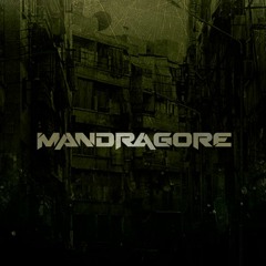 MANDRAGORE