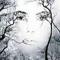 Donna Reynolds