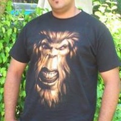 ehabelkhashab