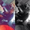 Mike Den Besten