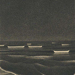 Vinicius Jayme Vallorani