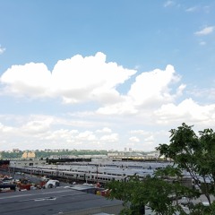 WeShallUseMyLargestScales