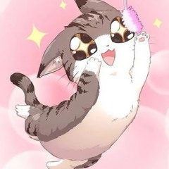 Matchcatly X-20