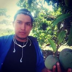 Cèsar Córdova Bravo