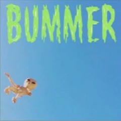 BummerboyZ