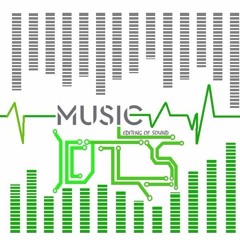 dtsnet88