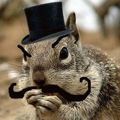 The Red Squirrel / Grey Squirrel Scenario